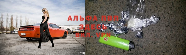 сатива Новозыбков
