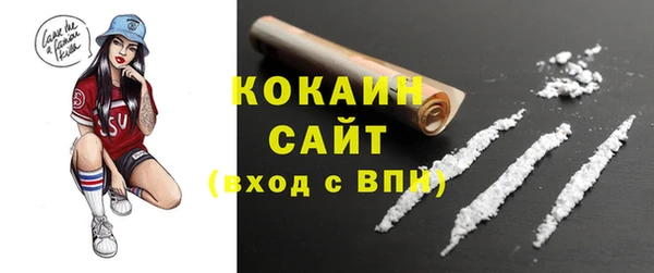 сатива Новозыбков