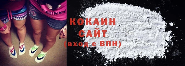 сатива Новозыбков