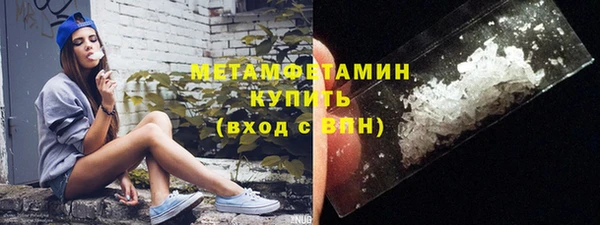 сатива Новозыбков