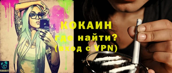 сатива Новозыбков
