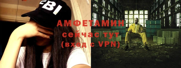 сатива Новозыбков