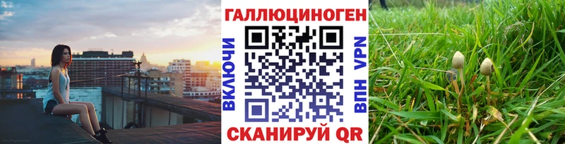 KRAKEN как зайти  Чкаловск  Галлюциногенные грибы MAGIC MUSHROOMS 
